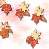 Autum Leaf Background