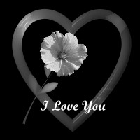 I Love You Valentine