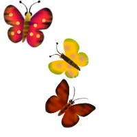 Butterfly Background