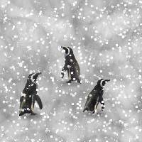 Penguin Background