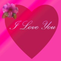 Pink Valentine